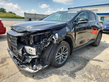  Salvage Lexus NX