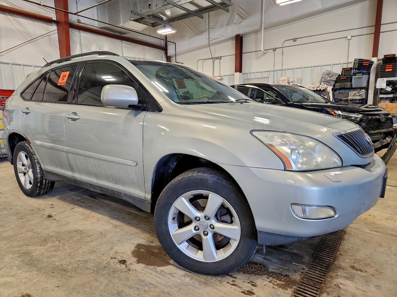 Lexus RX 330 Image 12