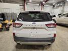 Ford Escape Sel Image 14
